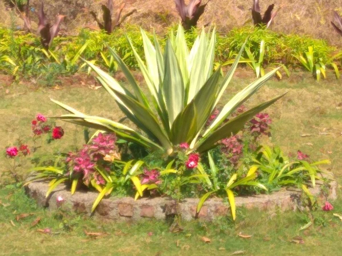 Sadgurukrupa Villa Mahableshwar Mahabaleshwar Exterior photo